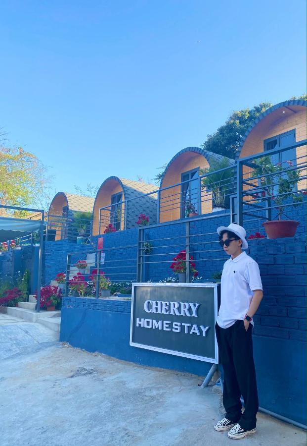 Cherry Homestay Bungalow Vung Tau Exterior photo